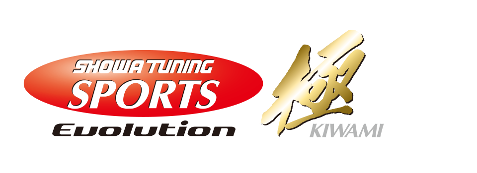 SPORTS Evolution -極-